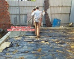 NI LÔNG ĐỔ BÊ TÔNG CÔNG TRÌNH